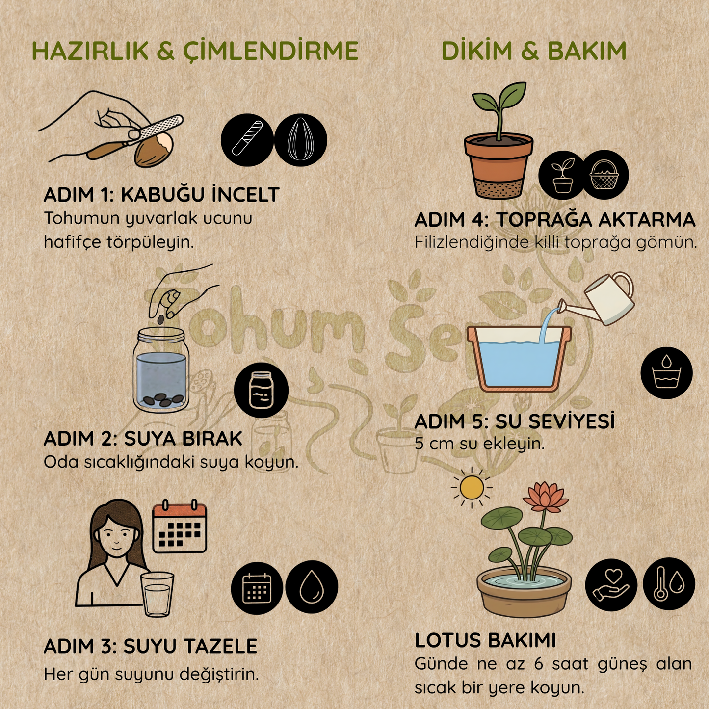 Lotus Çiçeği Yetiştirme Kiti™