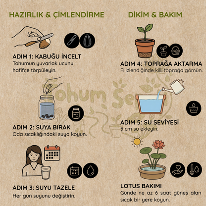 Lotus Çiçeği Yetiştirme Kiti™